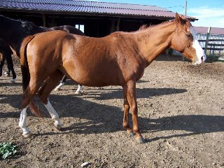 Call for more information.