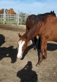 Call for more information.