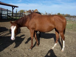 Call for more information.