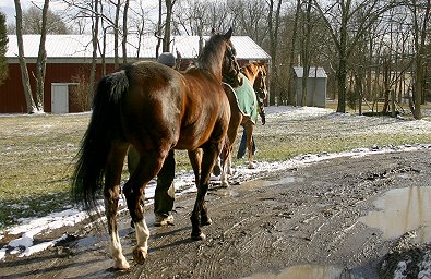 Pearl D`Azur and Projectile One walking to the trailer. 