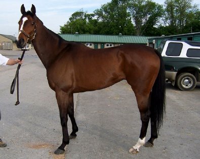 Call for more information.