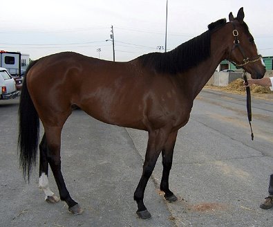 Call for more information.