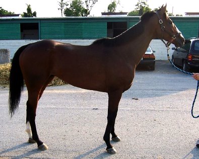 Call for more information.