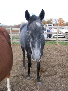 Call for more information.