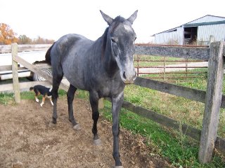 Call for more information.