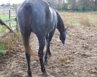 Call for more information.