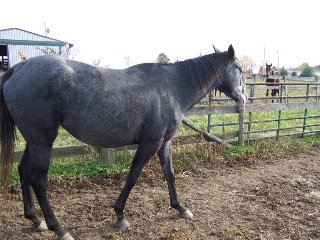 Call for more information.