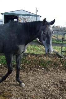 Call for more information.