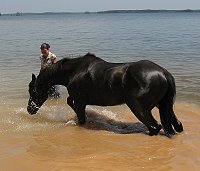 Roman Ripples goes swimming!
