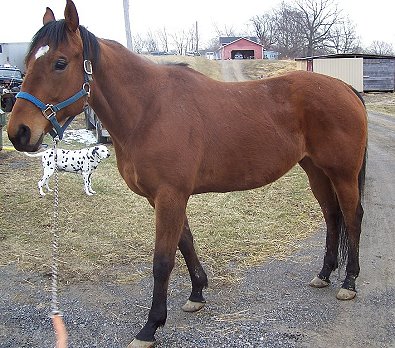 Call for more information.