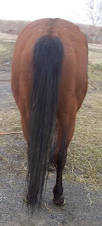 Call for more information.