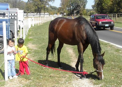 Storm Shooter and friends.