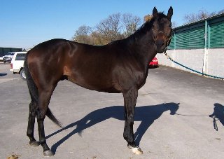 Call for more information.