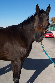 Call for more information.