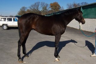 Call for more information.