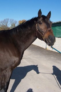 Call for more information.