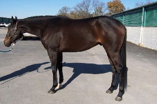 Call for more information.