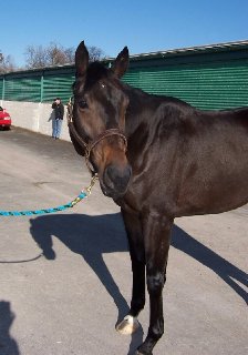 Call for more information.