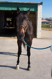 Call for more information.