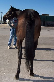 Call for more information.