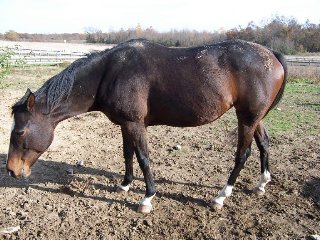 Call for more information.