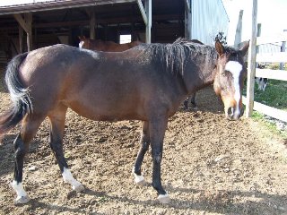 Call for more information.