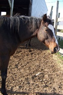 Call for more information.