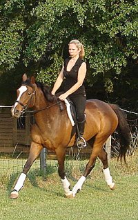 OTTB - Suzie Maewon is a lovely mover. She is available for sale. 