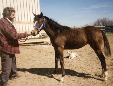 Thoroughbred breeder - Joe Borg and Suzie Maewon. 1996