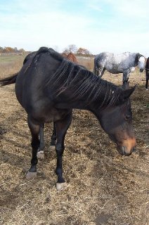 Call for more information.