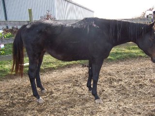 Call for more information.