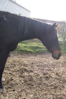 Call for more information.