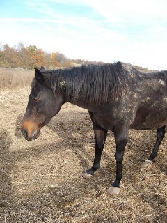 Call for more information.