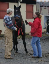 Dana McLean helps Ben clean up Thistle for her photo op.