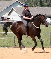 Robin and Alchemy at liberty.