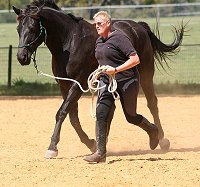 Robin and Alchemy bonding.