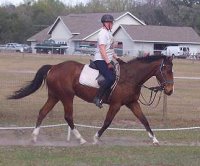 Vicky Vicky Vicky and Robin's second ride.