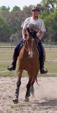 Vicky Vicky Vicky - March 19, 2006 