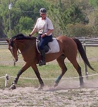 Vicky Vicky Vicky - March 19, 2006