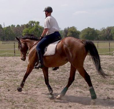 Vicky Vicky Vicky and Robin - March 19, 2006