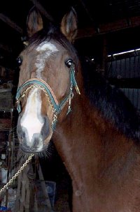 Call for more information.