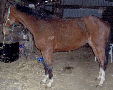 Call for more information.