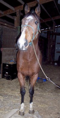 Call for more information.