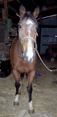 Call for more information.