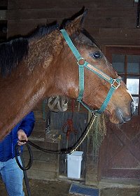 Call for more information.