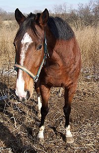 Call for more information.