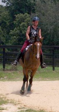 Deb and OTTB Vicky Vicky Vicky doing dressage.