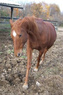 Call for more information.