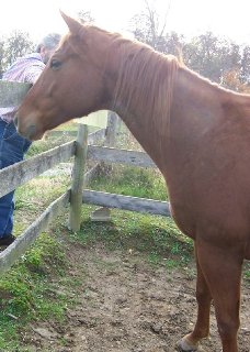 Call for more information.