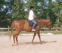 This is my first ride on Viva. 